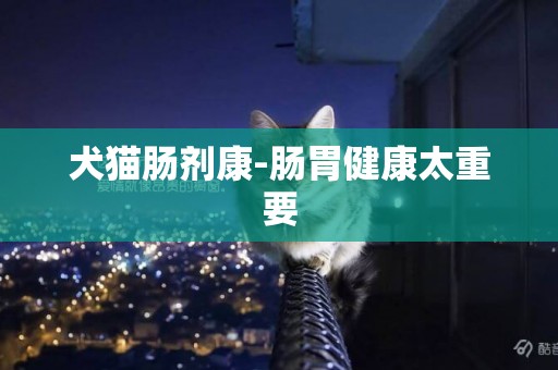 犬貓腸劑康-腸胃健康太重要