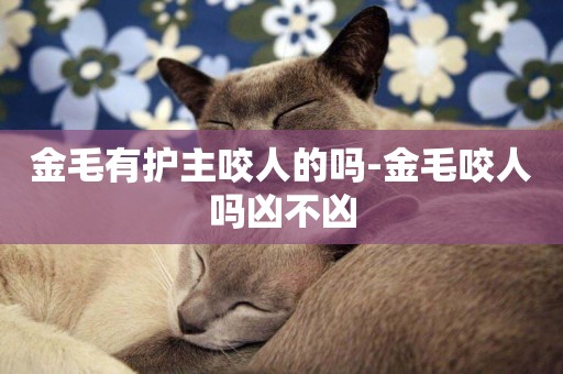 金毛有護主咬人的嗎-金毛咬人嗎兇不兇