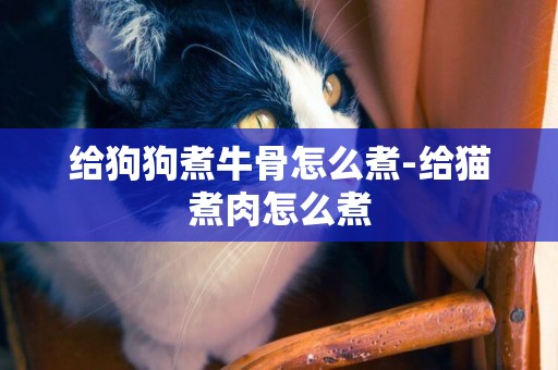給狗狗煮牛骨怎么煮-給貓煮肉怎么煮