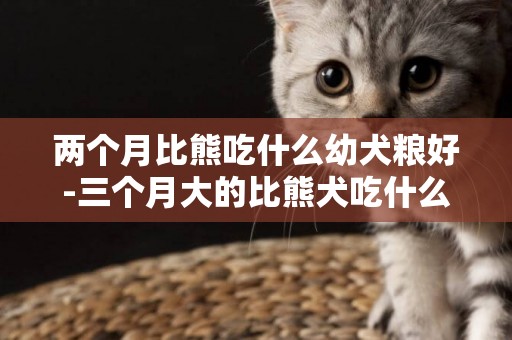 兩個月比熊吃什么幼犬糧好-三個月大的比熊犬吃什么好