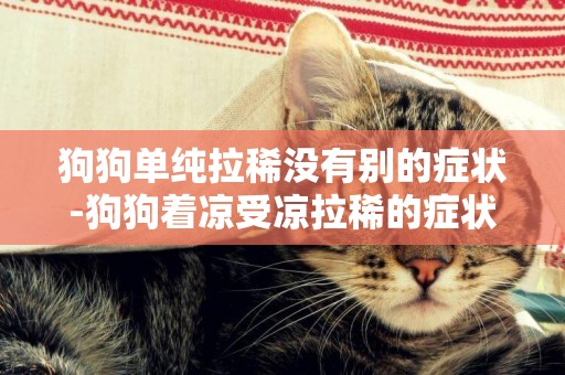 狗狗單純拉稀沒有別的癥狀-狗狗著涼受涼拉稀的癥狀