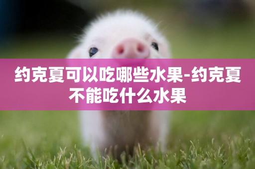約克夏可以吃哪些水果-約克夏不能吃什么水果