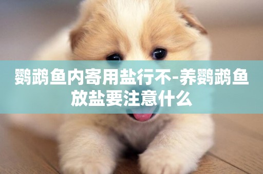 鸚鵡魚內寄用鹽行不-養鸚鵡魚放鹽要注意什么