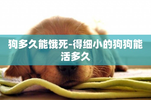 狗多久能餓死-得細小的狗狗能活多久
