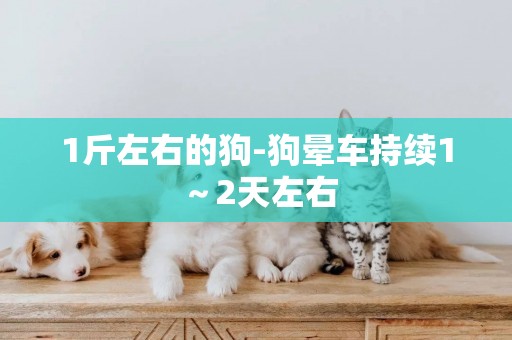 1斤左右的狗-狗暈車持續1～2天左右