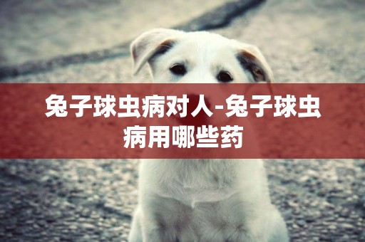 兔子球蟲病對人-兔子球蟲病用哪些藥