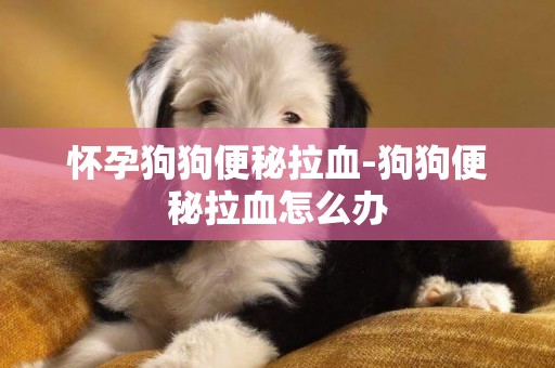懷孕狗狗便秘拉血-狗狗便秘拉血怎么辦