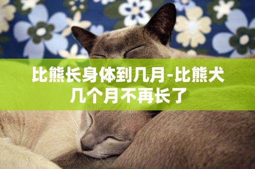 比熊長身體到幾月-比熊犬幾個月不再長了