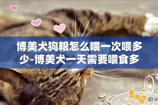 博美犬狗糧怎么喂一次喂多少-博美犬一天需要喂食多少