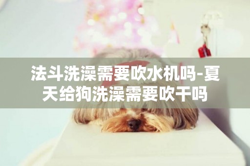 法斗洗澡需要吹水機嗎-夏天給狗洗澡需要吹干嗎