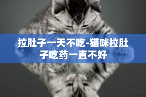 拉肚子一天不吃-貓咪拉肚子吃藥一直不好