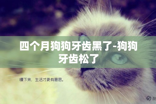 四個月狗狗牙齒黑了-狗狗牙齒松了