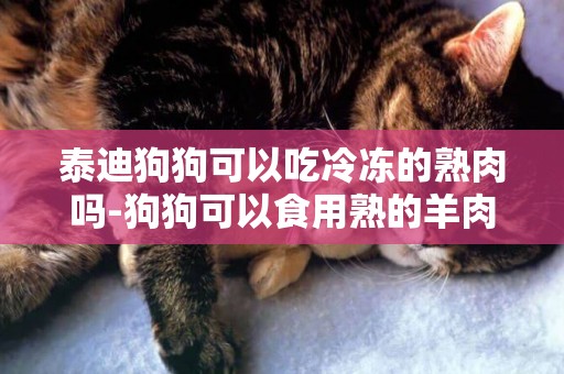 泰迪狗狗可以吃冷凍的熟肉嗎-狗狗可以食用熟的羊肉嗎