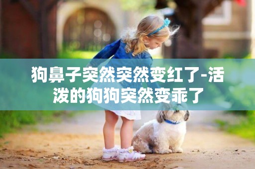 狗鼻子突然突然變紅了-活潑的狗狗突然變乖了