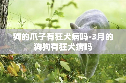 狗的爪子有狂犬病嗎-3月的狗狗有狂犬病嗎