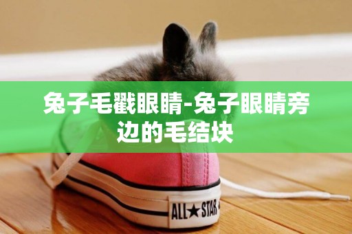 兔子毛戳眼睛-兔子眼睛旁邊的毛結塊