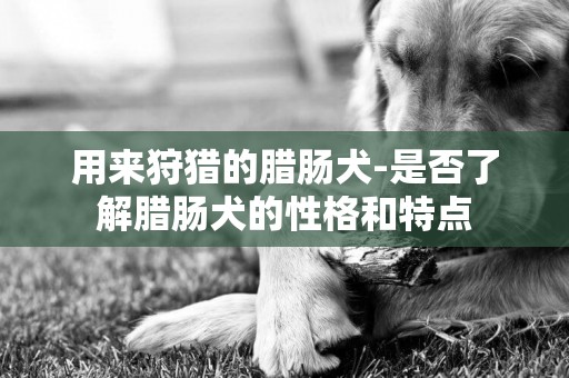 用來狩獵的臘腸犬-是否了解臘腸犬的性格和特點