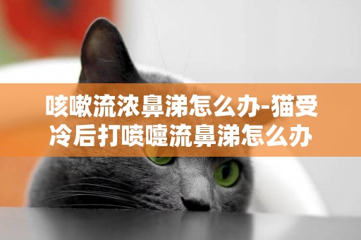 咳嗽流濃鼻涕怎么辦-貓受冷后打噴嚏流鼻涕怎么辦
