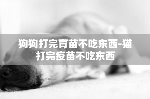 狗狗打完育苗不吃東西-貓打完疫苗不吃東西