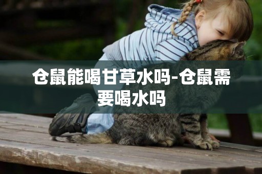 倉鼠能喝甘草水嗎-倉鼠需要喝水嗎