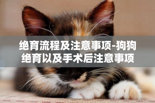絕育流程及注意事項-狗狗絕育以及手術后注意事項