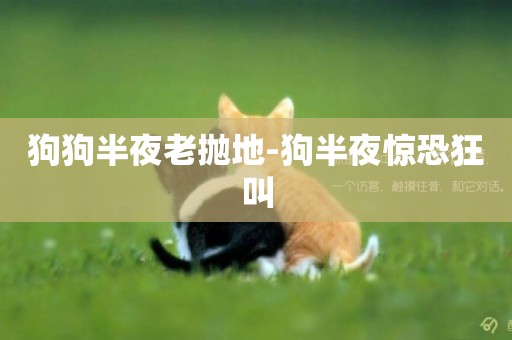 狗狗半夜老拋地-狗半夜驚恐狂叫