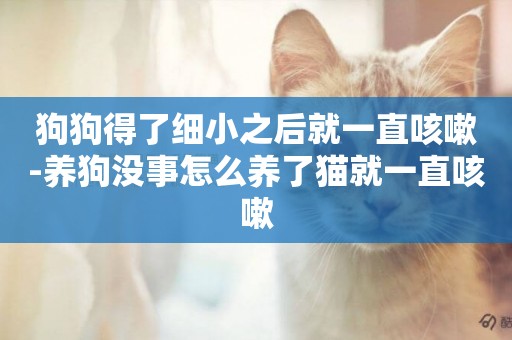 狗狗得了細小之后就一直咳嗽-養狗沒事怎么養了貓就一直咳嗽