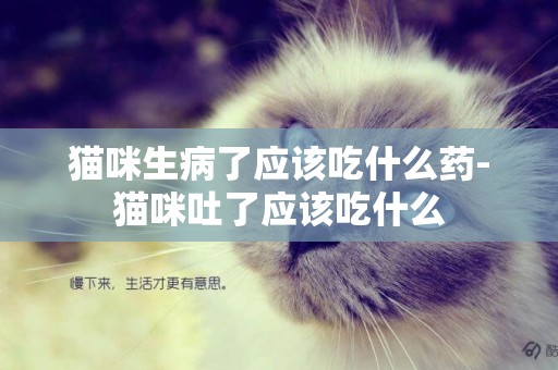 貓咪生病了應該吃什么藥-貓咪吐了應該吃什么