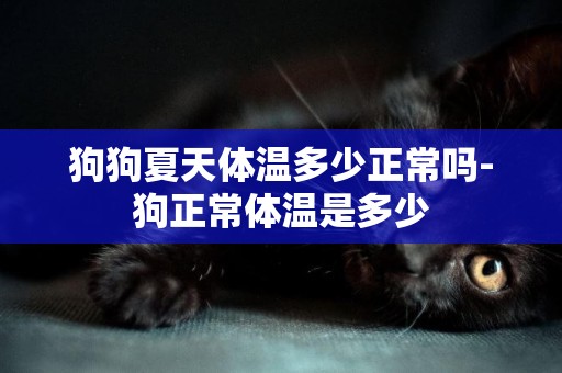 狗狗夏天體溫多少正常嗎-狗正常體溫是多少