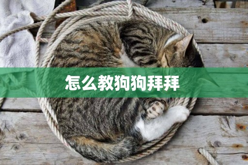 怎么教狗狗拜拜 
