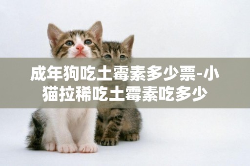 成年狗吃土霉素多少票-小貓拉稀吃土霉素吃多少