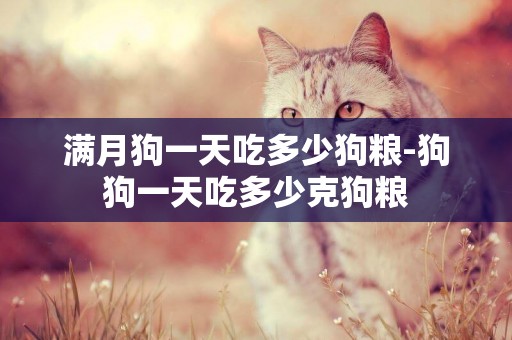 滿月狗一天吃多少狗糧-狗狗一天吃多少克狗糧