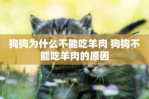 狗狗為什么不能吃羊肉 狗狗不能吃羊肉的原因