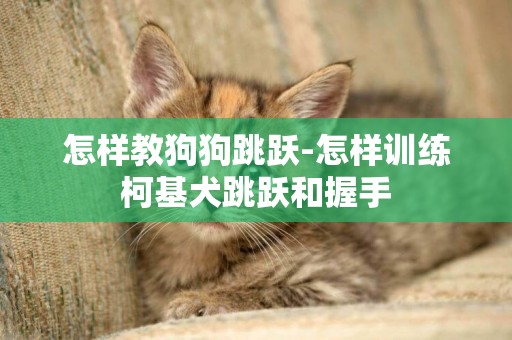 怎樣教狗狗跳躍-怎樣訓練柯基犬跳躍和握手