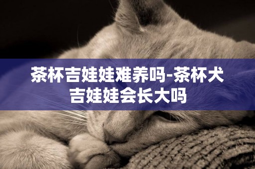 茶杯吉娃娃難養嗎-茶杯犬吉娃娃會長大嗎