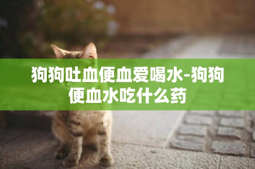 狗狗吐血便血愛喝水-狗狗便血水吃什么藥