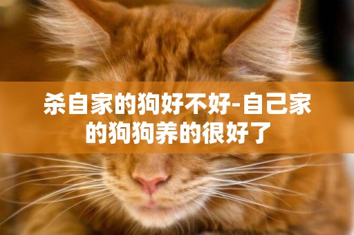 殺自家的狗好不好-自己家的狗狗養的很好了