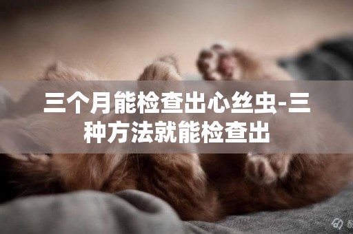 三個月能檢查出心絲蟲-三種方法就能檢查出