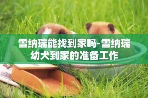 雪納瑞能找到家嗎-雪納瑞幼犬到家的準備工作