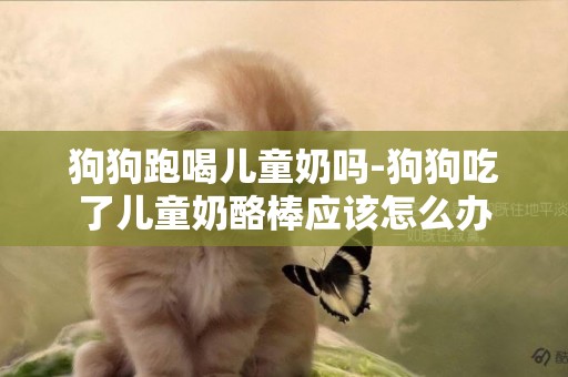 狗狗跑喝兒童奶嗎-狗狗吃了兒童奶酪棒應該怎么辦