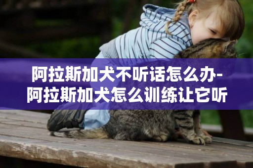阿拉斯加犬不聽話怎么辦-阿拉斯加犬怎么訓練讓它聽話