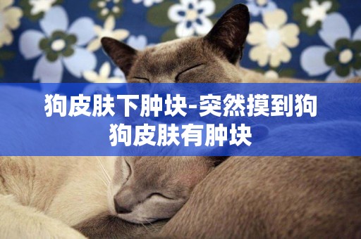 狗皮膚下腫塊-突然摸到狗狗皮膚有腫塊