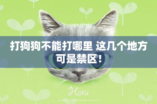 打狗狗不能打哪里 這幾個地方可是禁區！