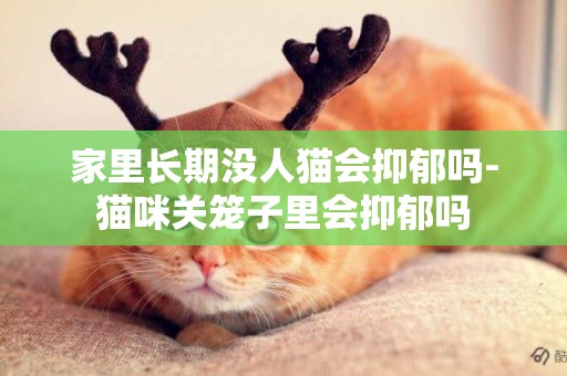 家里長期沒人貓會抑郁嗎-貓咪關籠子里會抑郁嗎