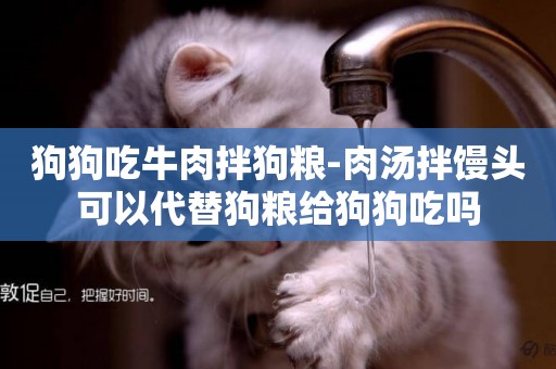 狗狗吃牛肉拌狗糧-肉湯拌饅頭可以代替狗糧給狗狗吃嗎
