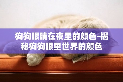 狗狗眼睛在夜里的顏色-揭秘狗狗眼里世界的顏色