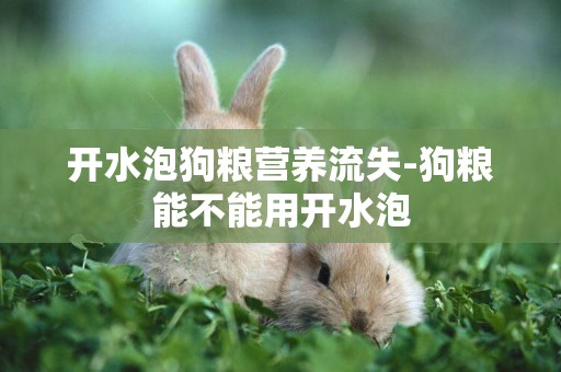 開水泡狗糧營養流失-狗糧能不能用開水泡