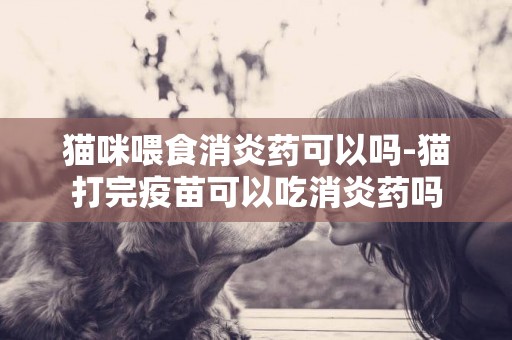 貓咪喂食消炎藥可以嗎-貓打完疫苗可以吃消炎藥嗎