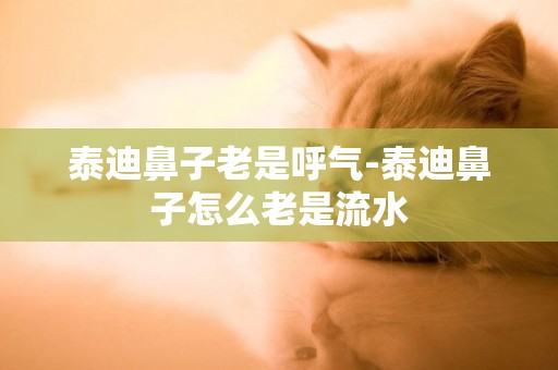泰迪鼻子老是呼氣-泰迪鼻子怎么老是流水