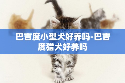 巴吉度小型犬好養嗎-巴吉度獵犬好養嗎